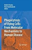 Phagocytosis of dying cells : from molecular mechanisms to human diseases