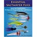 Essential Saltwater Flies
