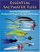 Essential Saltwater Flies width=
