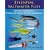 Essential Saltwater Flies