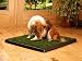 Mini Pup Head Indoor Portable Dog Potty (Toilet)
