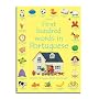 First Hundred Words in Portuguese (Usborne First Hundred Words)