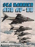 Sea Harrier and AV-88