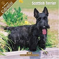 Scottish Terrier 2008 Wall Calendar