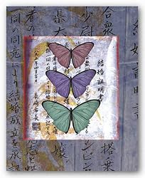 Butterflies II by Miguel Paredes 16"x20" Art Print Poster