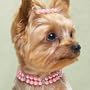 Dog Puppy Pink Double Pearl Necklace Jewelry Pet Collar