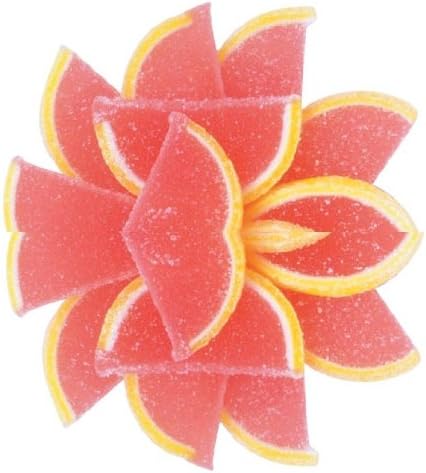 Kosher Pink Grapefruit Flavored Fruit Slices 5 Pound Bulk Bag