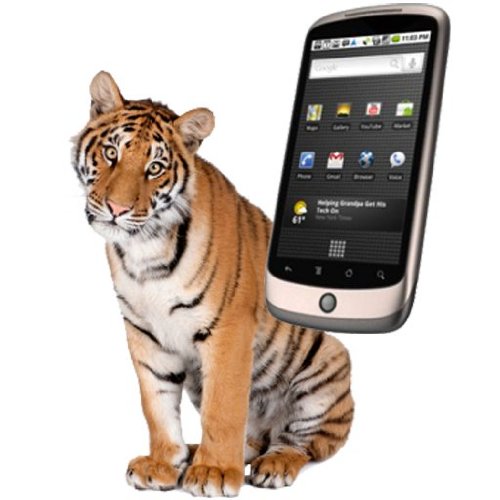 Jungle Ringtones