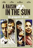 A Raisin In The Sun - Un Grappolo Di Sole