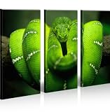 Grüne Mamba Gift Schlange 3 Bilder Kunst Bild * Bilder auf Leinwand fertig gerahmt auf Holzrahmen - Lounge Bild mit Bilderrahmen - ein Edel Poster als Leinwand Kunstdruck - Wandbild mit Rahmen modernes Keilrahmenbild - farbenfrohe und intensive Impressionen für Ihr Wohnzimmer Büro Lounge Küche Schlafzimmer usw. Abstrakte Kunst Pop Art