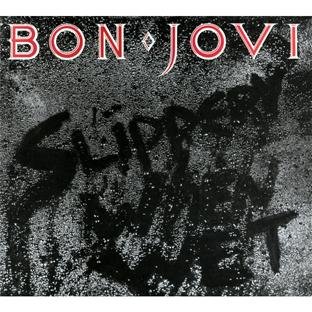 Bon Jovi - Slippery When Wet [Special Edition] - Zortam Music