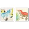 Red Bird and Bluebird Set by Swan Papel 12"x12" Art Print Poster