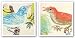 Red Bird and Bluebird Set by Swan Papel 12"x12" Art Print Poster
