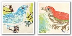 Red Bird and Bluebird Set by Swan Papel 12"x12" Art Print Poster