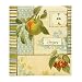 CR Gibson Pocket Page Recipe Book, Vintage Fruit, 9-Inch by 9.38-Inch