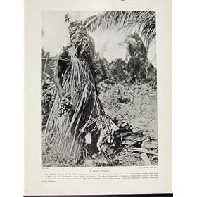 Mask House New Ireland Secret Society Old Print C1931
