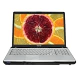 Toshiba Satellite P205-S6247 17 Laptop (Intel Pentium Dual Core Processor T2080, 1 GB RAM, 120 GB Hard Drive, Vista Premium)