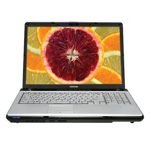 PCHardware: Toshiba Satellite P205 S6247 17
