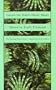 Green the Witch-Hazel Wood (National Poetry Series Books)