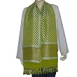 Neck Scarf Chiffon Silk Womens Accessories 22 x 72 inches (srfch024)
