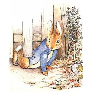 Beatrix Potter 8 x 10 Children Art Print Poster