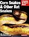 Corn Snakes & Other Rat Snakes (Barron's Complete Pet Owner's Manuals)