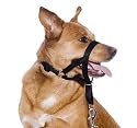 Pet Dog Head Collar Training Harness Size 1 SMALL