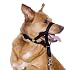 Pet Dog Head Collar Training Harness Size 2 MEDIUM