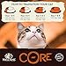 Wellness Core Air Dried Natural Grain Free Dry Indoor Cat Food, Chicken & Turkey, 2-Pound Bag