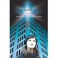 The Spark Gap