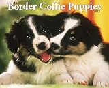 Just Border Collie Puppies 2012 Calendar (Just (Willow Creek))