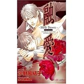 融愛 ~Melt Down~ (SHYノベルズ)