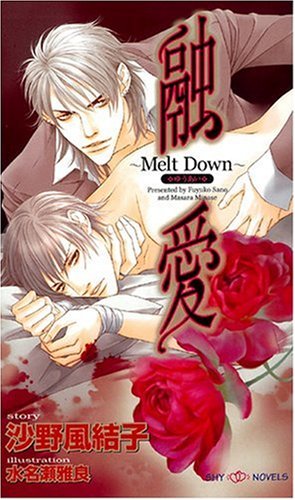 融愛 ~Melt Down~ (SHYノベルズ)