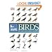 RSPB Birds of Britain and Europe (DK)