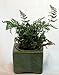 Square Self Watering Ceramic Pot with Felt Feet - Green - 4 3/8