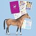 Breyer Traditional Passport to Model Horse Collecting with Grooming Kit