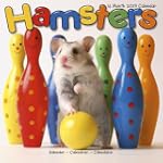 Hamsters  2013 Wall Calendar