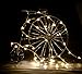 [Gorgeous LED String Lights]Copper Wire Lights, LED Warm White String Lights, LED Starry String Lights,Decor Rope Lights for Christmas, Indoor,Outdoor,Gardens,Homes, Party (120leds,20ft,WarmWhite)