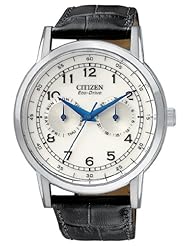 Citizen AO9000 06B Eco Drive Stainless Day Date