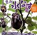 【送料無料】大阪泉州特産 水茄子(水なす) 20個 約3kg ご家庭用品質 産地箱入
