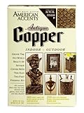Rust-Oleum 202732 2-Part Decorative Finishes Half Pint and Spray Kit, Antique Copper