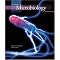 List of Books for Biochem Students
