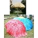 Raffia Hawaii/Hawaiian Grass Garden Parasol Umbrella