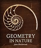 Geometry in