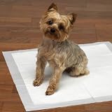 100 LARGE PUPPY TRAINING PADS 60x60cm EXTRA ABSORBANT BY