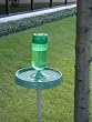 Molor Products Soda Bottle Bird Bath - Green