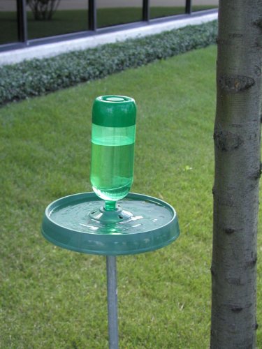 Molor Products Soda Bottle Bird Bath - Green