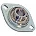 SBPFL204-12 Flanged Mounted Bearing, 2 Bolt, 3/4" Inside Diameter, Set screw Lock, Cast Iron, Inch