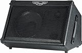 Traynor TVM50 50W 1x10 Battery Powered Guitar Combo Amp (Black)