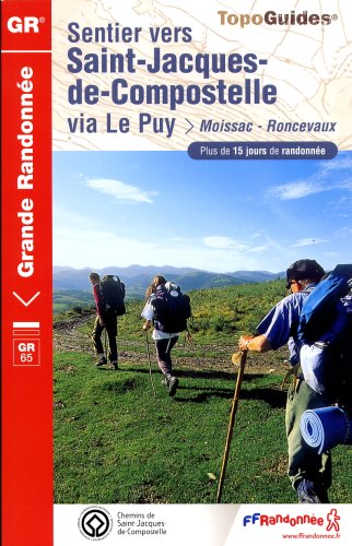 City Travel Guides Discounted  Used : Sentier vers Saint-Jacques-de-Compostelle via Le Puy : Moissac/Roncevaux